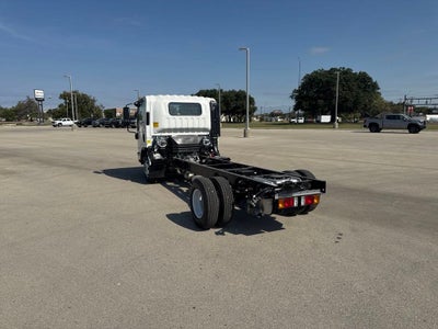 2025 Chevrolet Low Cab Forward 3500 HG 1WT