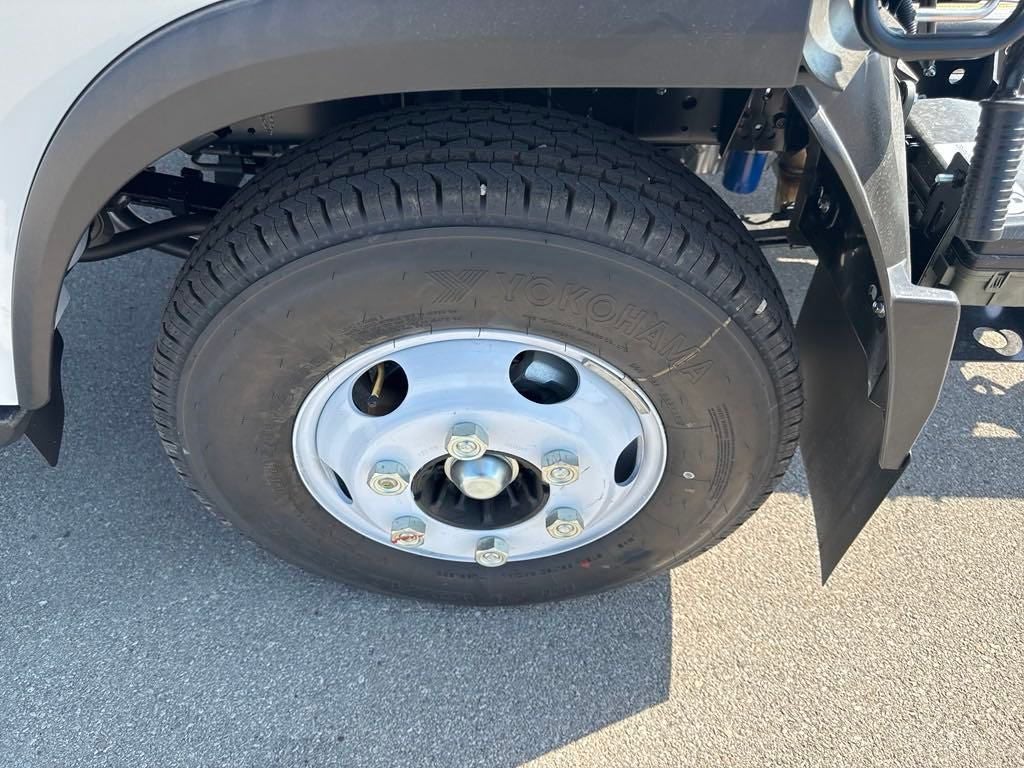 2025 Chevrolet Low Cab Forward 3500 HG 1WT