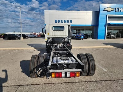 2024 Chevrolet Low Cab Forward 4500 HG 1WT
