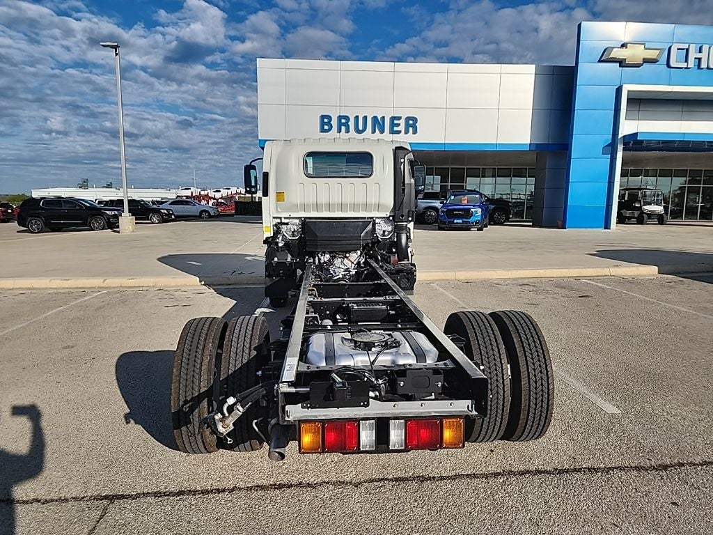 2024 Chevrolet Low Cab Forward 4500 HG 1WT