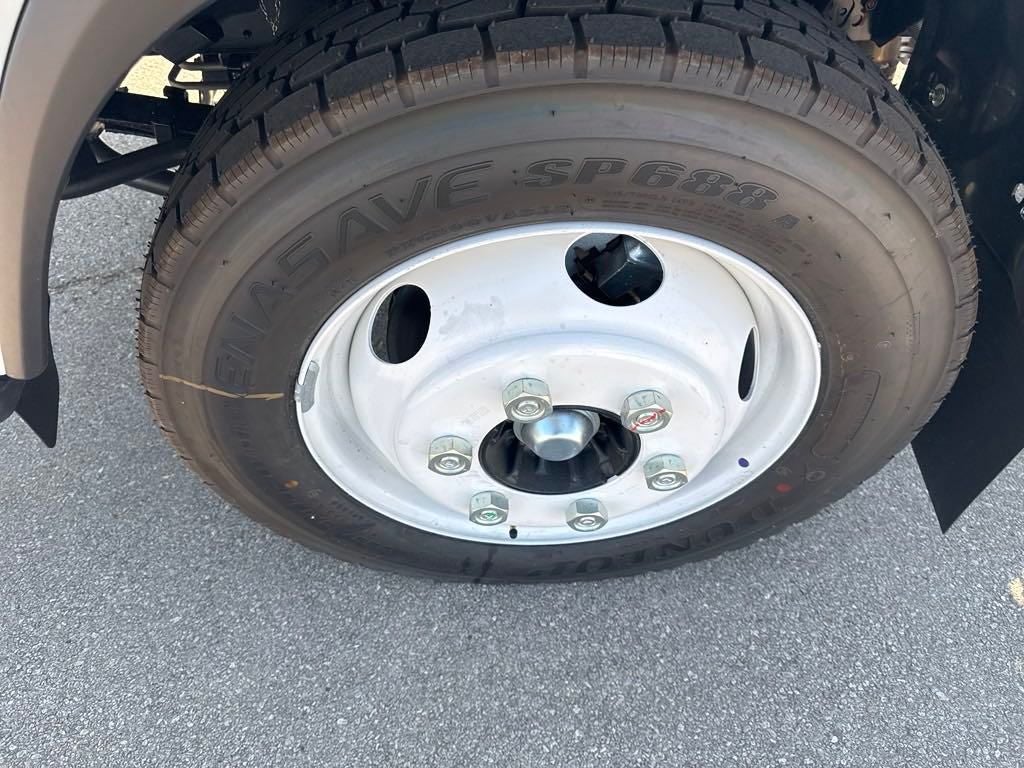 2025 Chevrolet Low Cab Forward 4500 HG 1WT